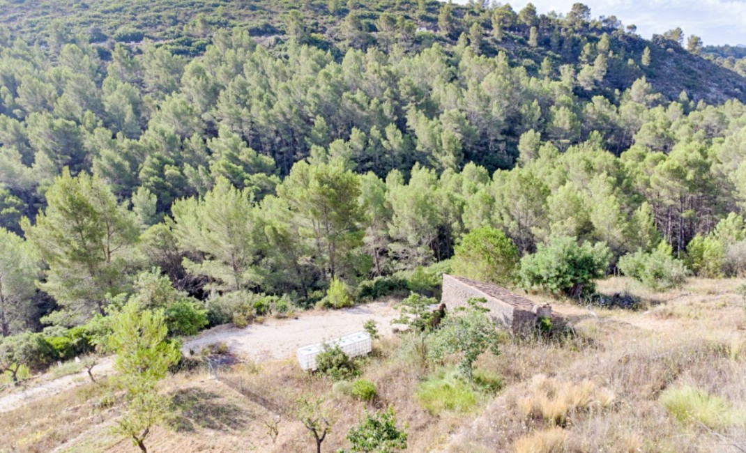 Sale - Villa - Jalón