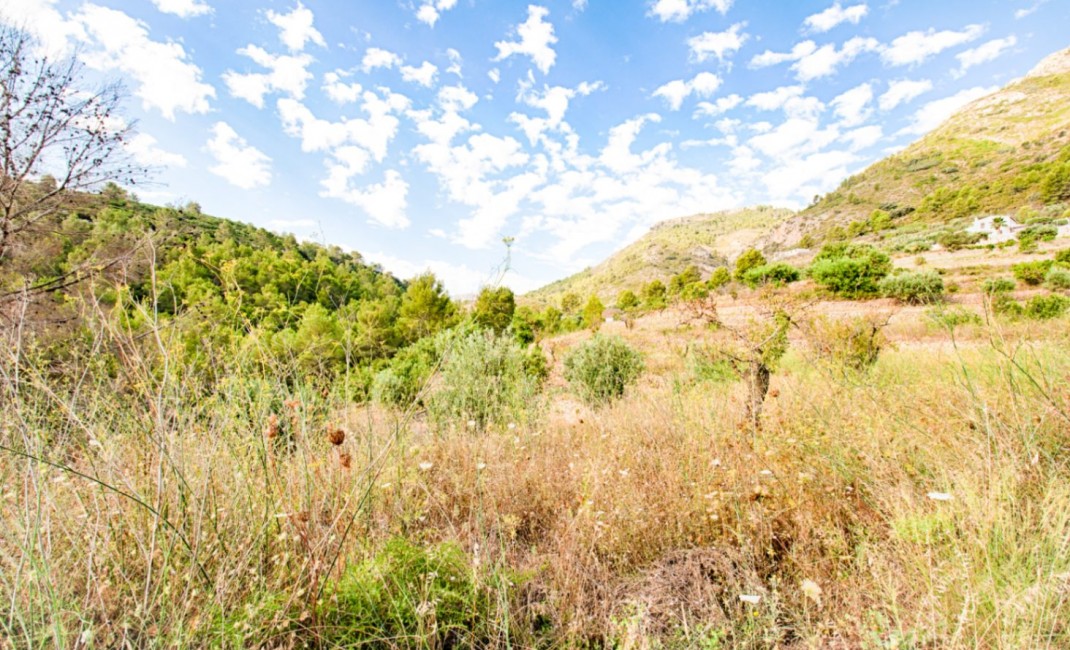 Sale - Villa - Jalón