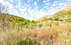 Sale - Villa - Jalón