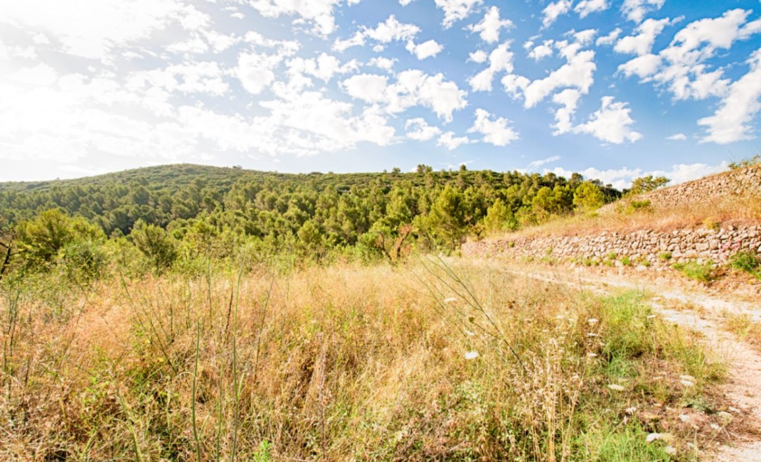 Sale - Villa - Jalón