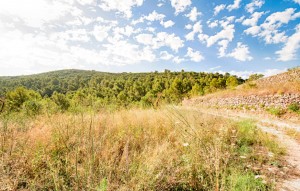 Sale - Villa - Jalón