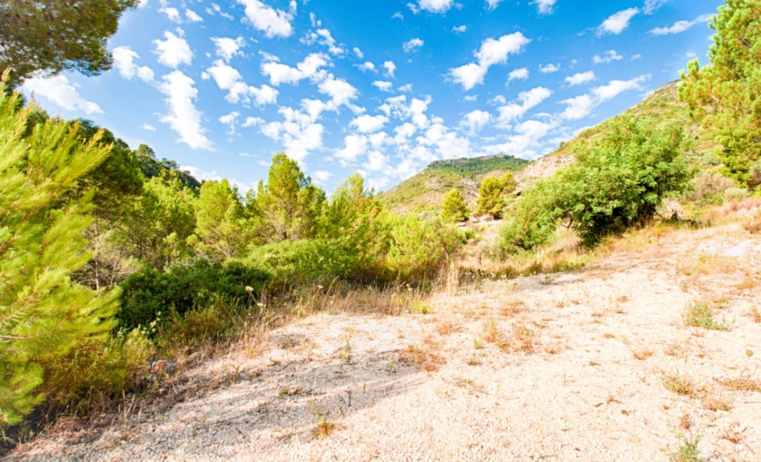 Sale - Villa - Jalón