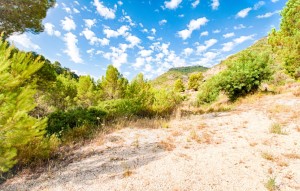 Sale - Villa - Jalón