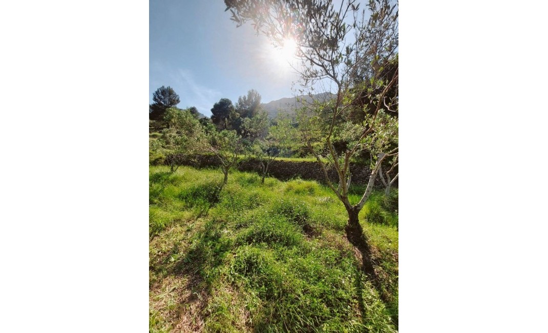 Sale - Villa - Jalón