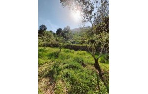 Sale - Villa - Jalón