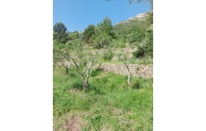 Sale - Villa - Jalón