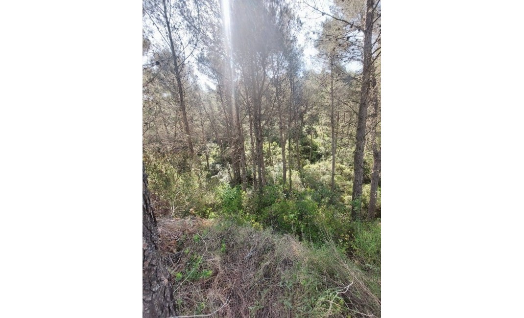 Sale - Villa - Jalón