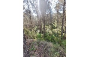 Sale - Villa - Jalón