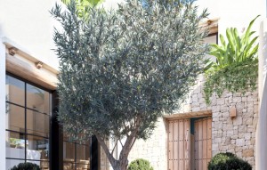 Revente - Villa - Denia