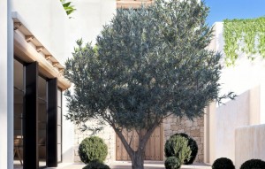 Revente - Villa - Denia