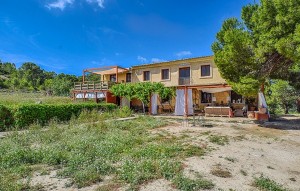 Sale - Plot - Relleu