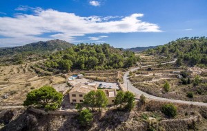 Sale - Plot - Relleu