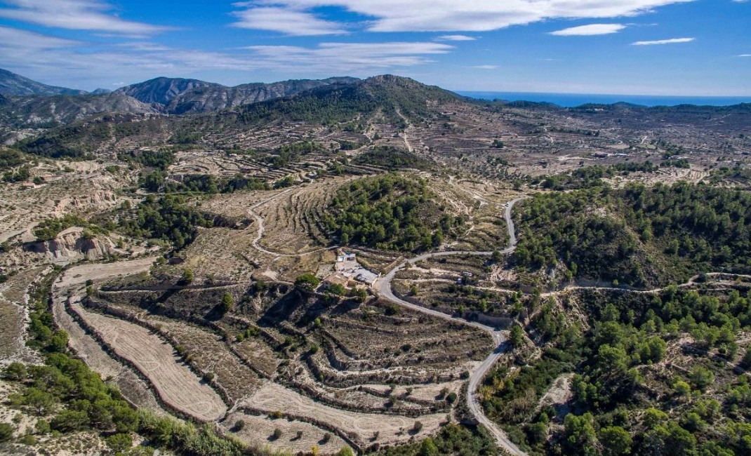 Sale - Plot - Relleu