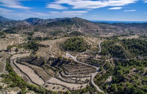 Sale - Plot - Relleu