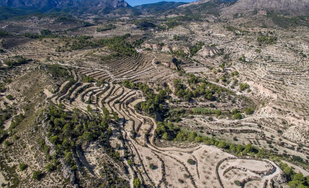 Sale - Plot - Relleu