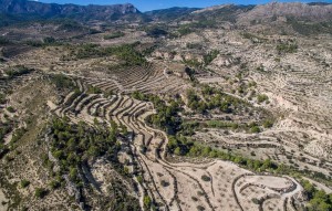 Sale - Plot - Relleu