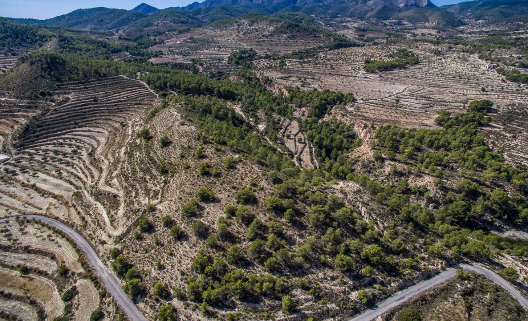 Sale - Plot - Relleu