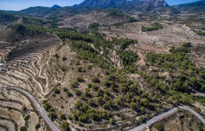 Sale - Plot - Relleu