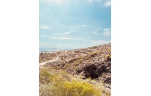 Sale - Townhouse - Chayofa - Residential Elena Chayofa Tenerife