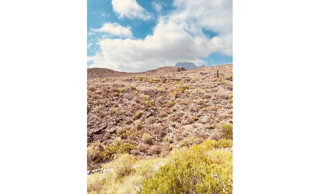 Sale - Townhouse - Chayofa - Residential Elena Chayofa Tenerife