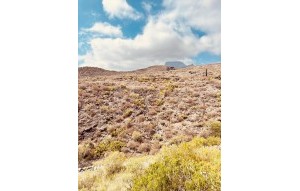 Sale - Townhouse - Chayofa - Residential Elena Chayofa Tenerife