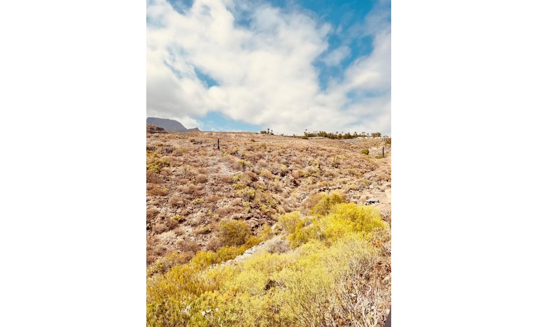 Sale - Townhouse - Chayofa - Residential Elena Chayofa Tenerife