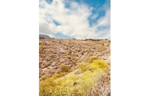 Sale - Townhouse - Chayofa - Residential Elena Chayofa Tenerife