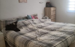 Revente - Apartement - Los Cristianos - Los Angeles Los Cristianos Tenerife