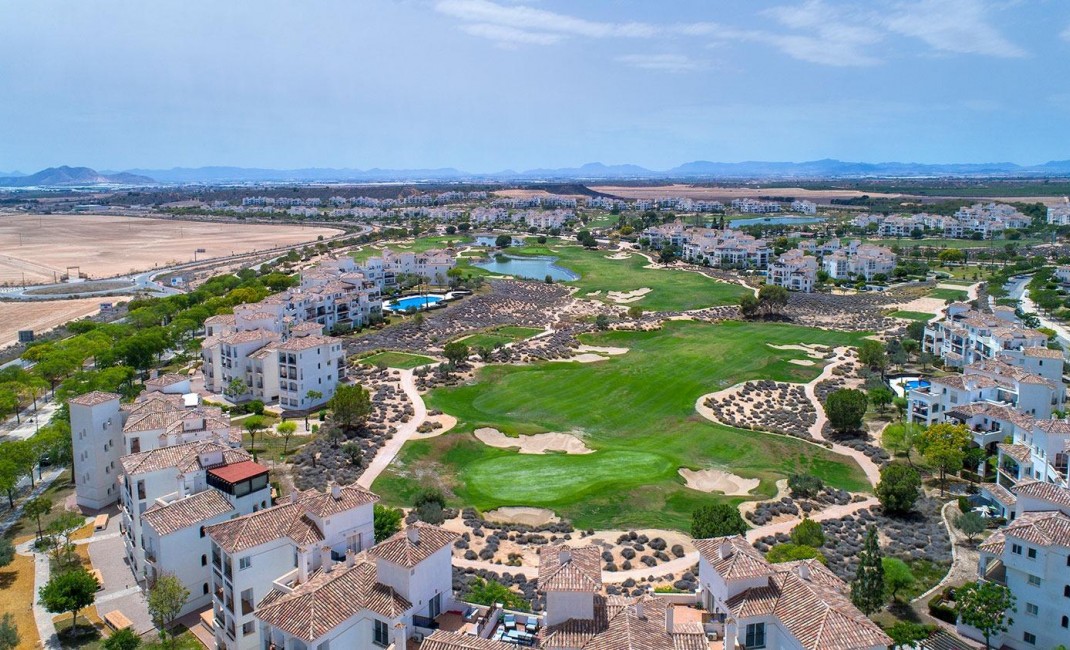 Nouvelle construction - Semidetached - Sucina