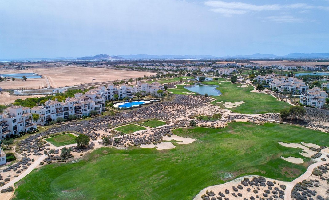 Nouvelle construction - Semidetached - Sucina