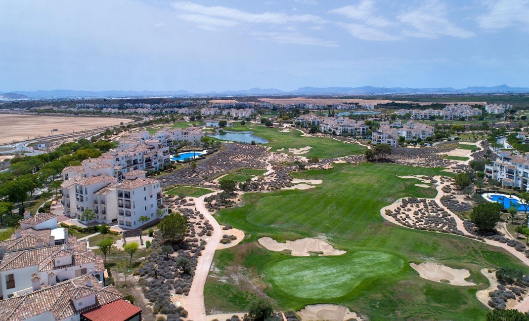 Nouvelle construction - Semidetached - Sucina