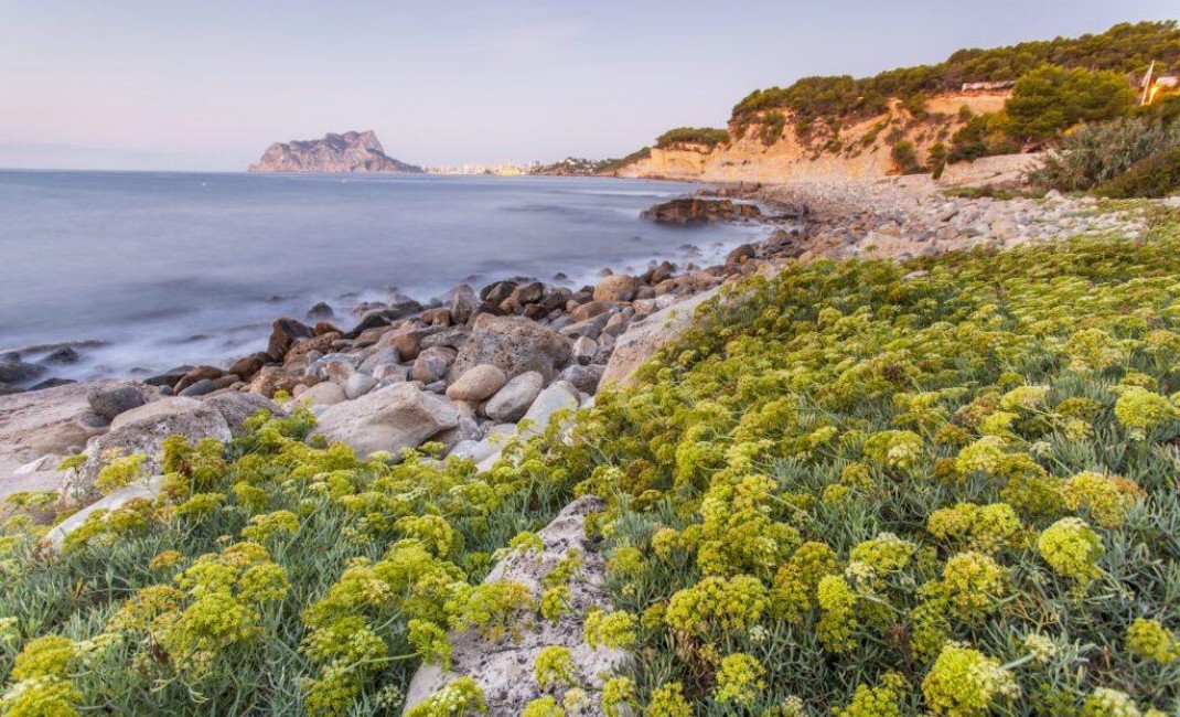 New Build - Villa - Benissa