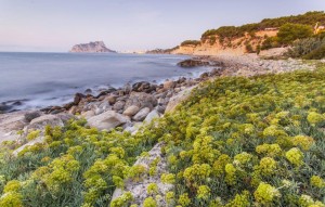 New Build - Villa - Benissa