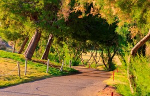 New Build - Villa - Pilar de la Horadada - PILAR DE LA HORADADA