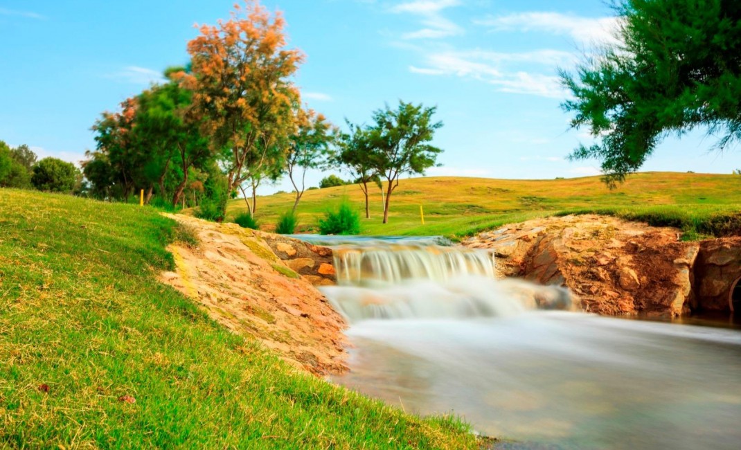 New Build - Villa - Pilar de la Horadada - PILAR DE LA HORADADA