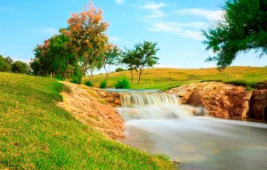 New Build - Villa - Pilar de la Horadada - PILAR DE LA HORADADA