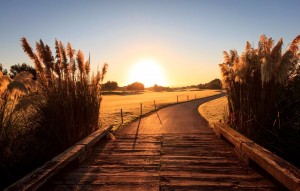 New Build - Villa - Pilar de la Horadada - PILAR DE LA HORADADA