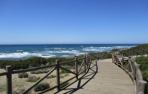 Nouvelle construction - Ground floor apartment - Marbella