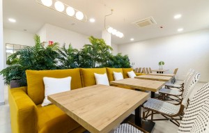 Nouvelle construction - Appartement - Mijas