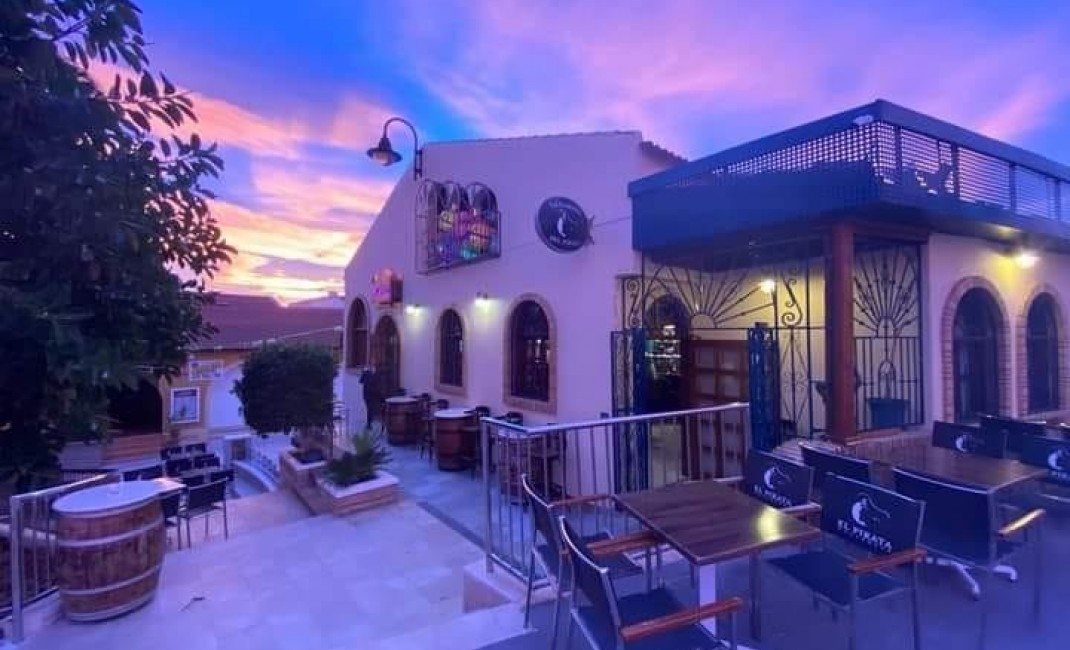 Nouvelle construction - Villa - Pilar de la Horadada - PILAR DE LA HORADADA