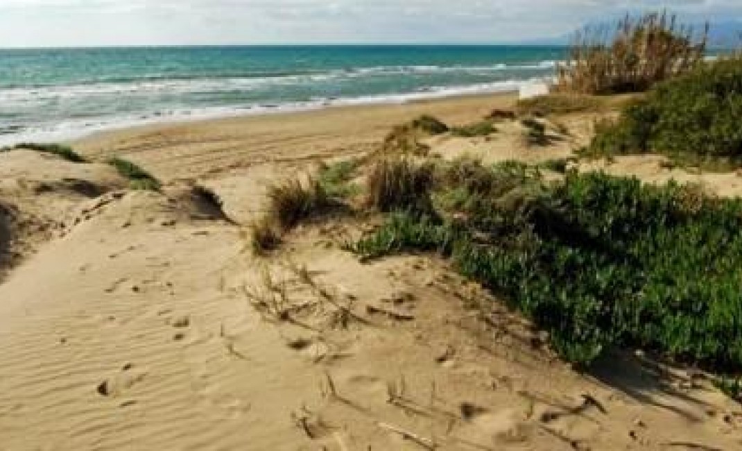 New Build - Ground floor apartment - Marbella