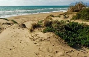 New Build - Ground floor apartment - Marbella