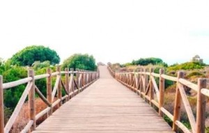 New Build - Ground floor apartment - Marbella