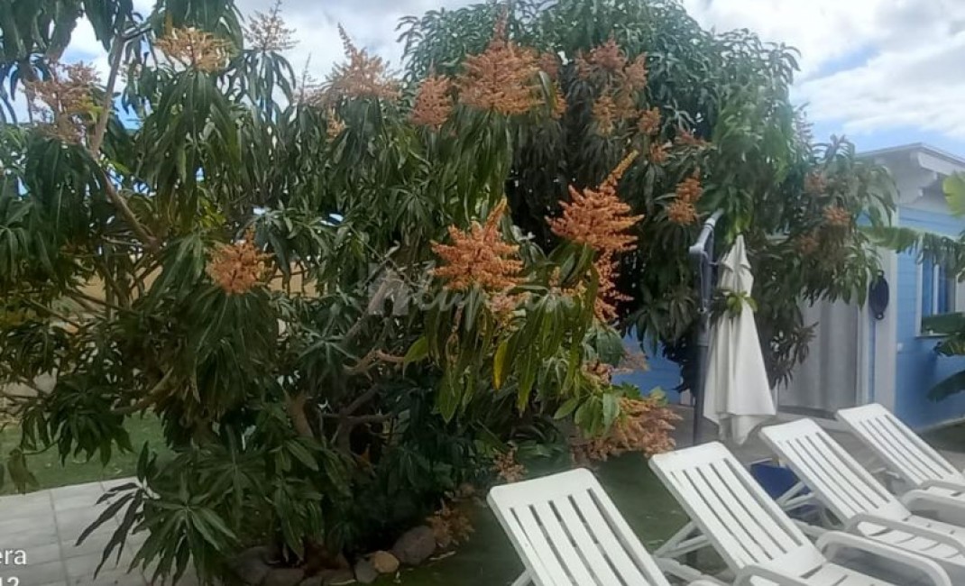 Sale - Apartment - Las Galletas - Estrella Del Sur Las Galletas Tenerife