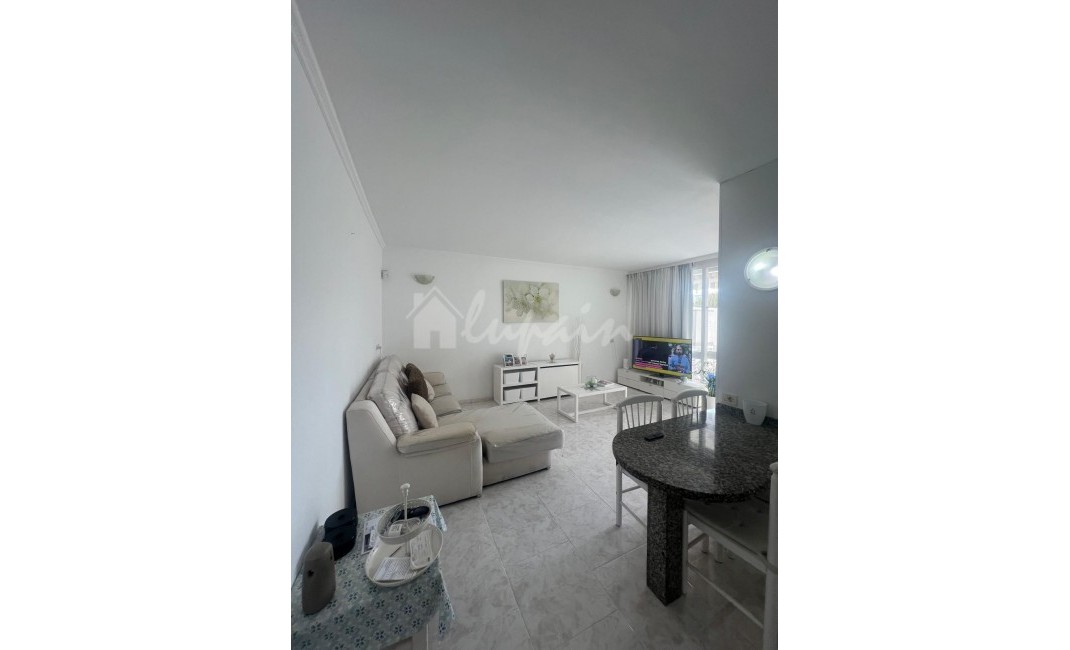 Revente - Apartement - Costa Del Silencio - Primavera Costa Del Silencio Tenerife