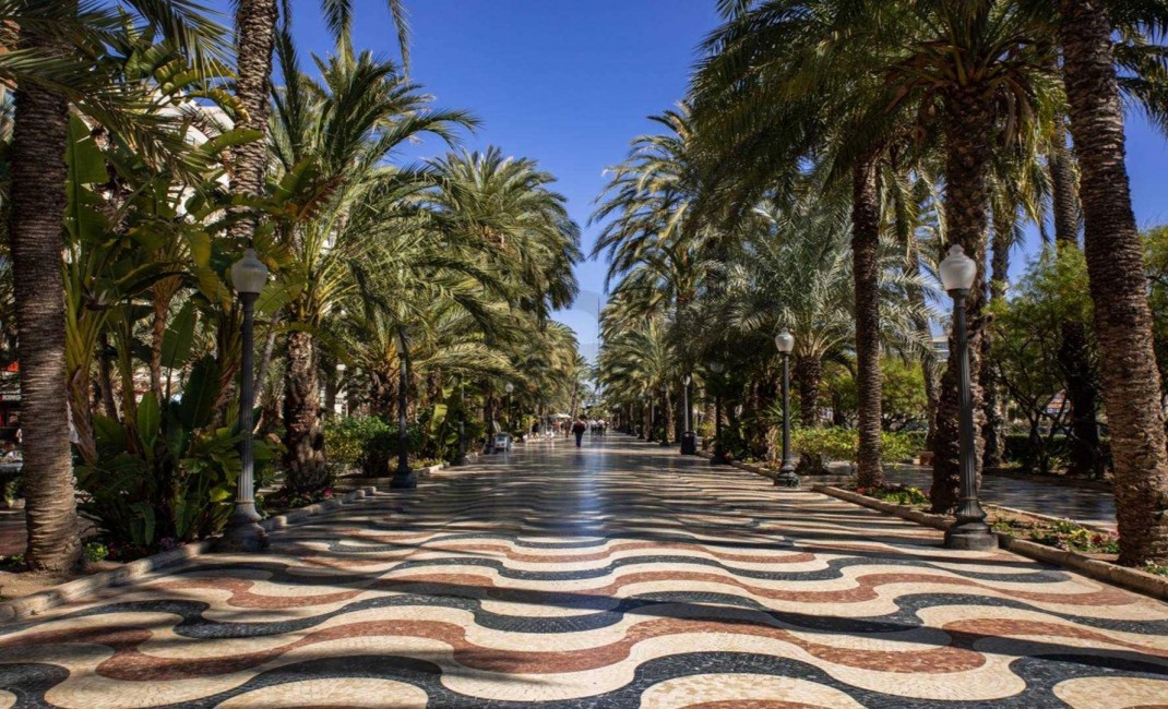 Nouvelle construction - Ground floor apartment - Alicante