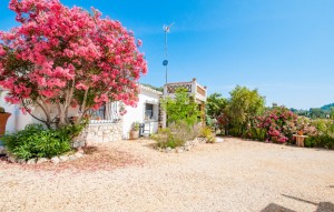 Sale - Plot - Alcalalí