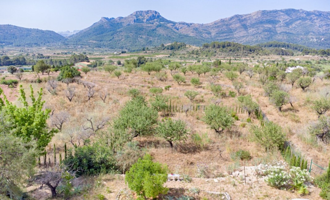 Sale - Plot - Alcalalí