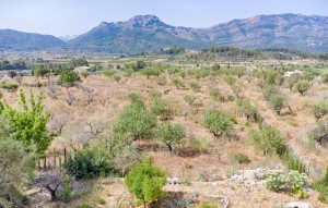 Sale - Plot - Alcalalí