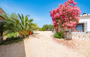 Sale - Plot - Alcalalí